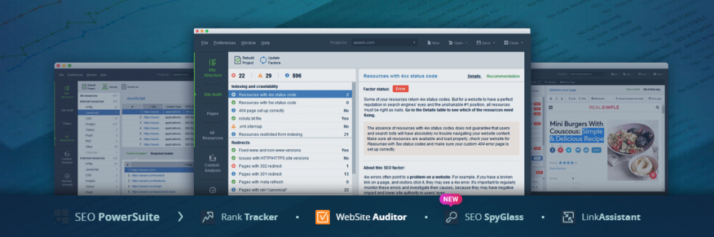 SEO Website Auditor Software